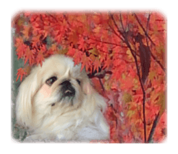 Vani Mellu Nana vol.1 sticker #15530754