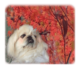 Vani Mellu Nana vol.1 sticker #15530754