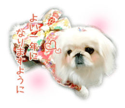 Vani Mellu Nana vol.1 sticker #15530757