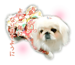 Vani Mellu Nana vol.1 sticker #15530757