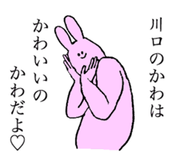 Rabbit's name is Kawaguchi sticker #15530762