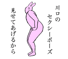 Rabbit's name is Kawaguchi sticker #15530771