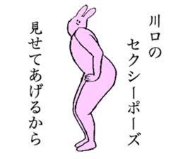 Rabbit's name is Kawaguchi sticker #15530771