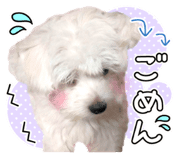 Corin of dog! Stickers sticker #15530880