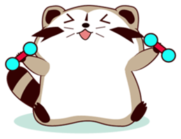 North American Raccoon (V6) sticker #15532428