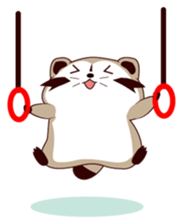 North American Raccoon (V6) sticker #15532429