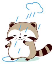 North American Raccoon (V6) sticker #15532439