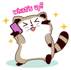 North American Raccoon (V6) sticker #15532443