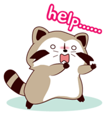 North American Raccoon (V6) sticker #15532455