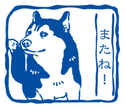 A sticker like Siberian Husky stamp 3 sticker #15532743
