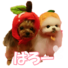 doggiesfan9 sticker #15533138