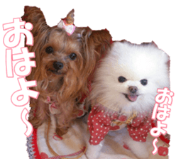 doggiesfan9 sticker #15533139