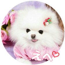 doggiesfan9 sticker #15533141