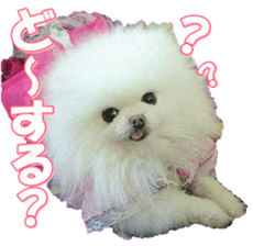 doggiesfan9 sticker #15533145