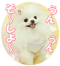 doggiesfan9 sticker #15533147