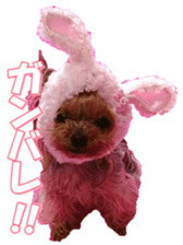 doggiesfan9 sticker #15533148