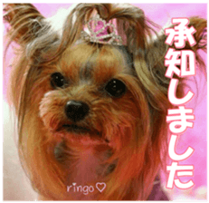 doggiesfan9 sticker #15533150
