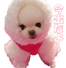 doggiesfan9 sticker #15533151