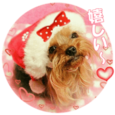 doggiesfan9 sticker #15533152