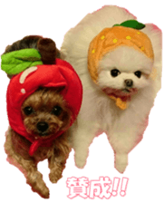 doggiesfan9 sticker #15533156