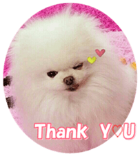 doggiesfan9 sticker #15533159