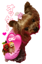 doggiesfan9 sticker #15533160