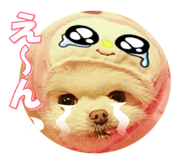 doggiesfan9 sticker #15533161