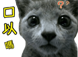 MY TORO CAT(CHINESE) sticker #15533286