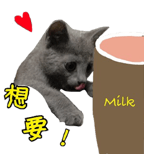 MY TORO CAT(CHINESE) sticker #15533288