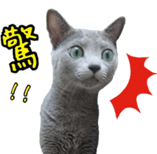 MY TORO CAT(CHINESE) sticker #15533290