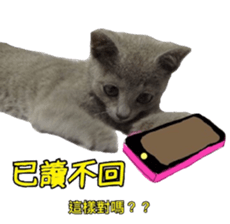MY TORO CAT(CHINESE) sticker #15533293