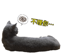 MY TORO CAT(CHINESE) sticker #15533296