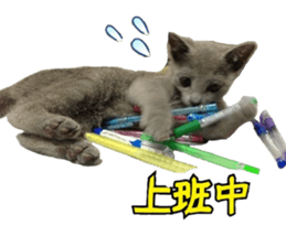 MY TORO CAT(CHINESE) sticker #15533298