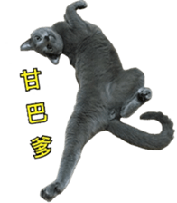 MY TORO CAT(CHINESE) sticker #15533299
