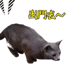 MY TORO CAT(CHINESE) sticker #15533303