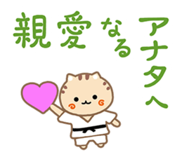 THE CAT LOVES JUDO sticker #15533534