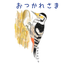 Birds Stickers sticker #15533626