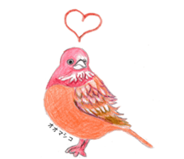 Birds Stickers sticker #15533628