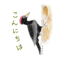 Birds Stickers sticker #15533633