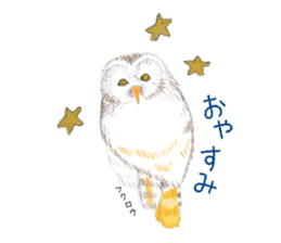 Birds Stickers sticker #15533638