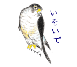 Birds Stickers sticker #15533639