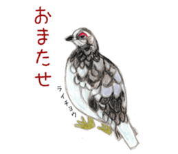 Birds Stickers sticker #15533640