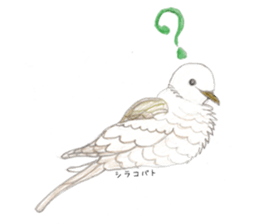 Birds Stickers sticker #15533642