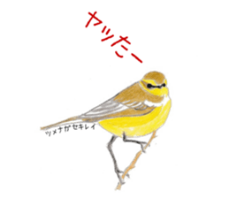 Birds Stickers sticker #15533644
