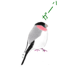 Birds Stickers sticker #15533645