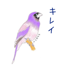 Birds Stickers sticker #15533646