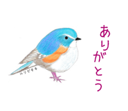 Birds Stickers sticker #15533647