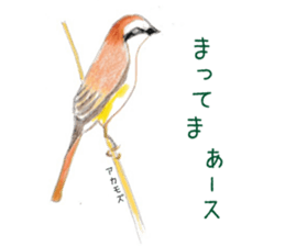 Birds Stickers sticker #15533648