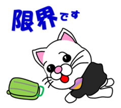 A flight Attendant of white cat sticker #15533688