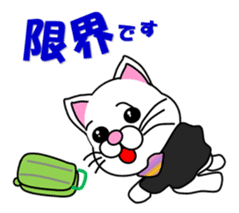 A flight Attendant of white cat sticker #15533688